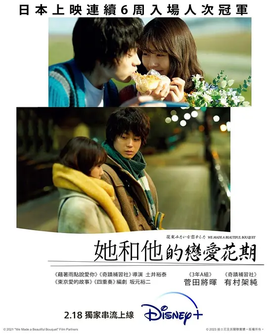 ���������������ڡ�Ӱ�ӽ�˵��