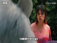 ������֮��_36341345_��Ӱ��˵